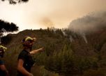 1800 хектара гора е в пламъци на остров Тенерифе