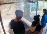 Злонамерени посетители хвърлиха мокри кърпички в терариум на крокодил в Пловдив (видео)