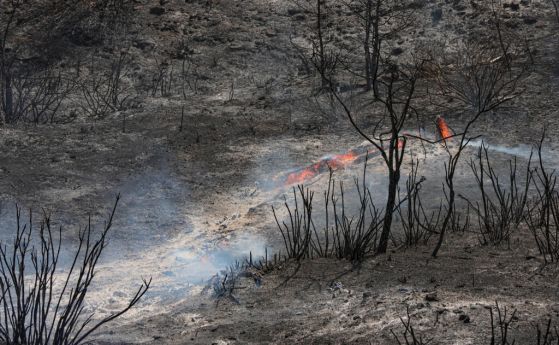 Голям пожар край Александруполис