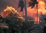 Пожарите на хавайския остров Мауи