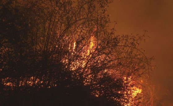 Пожар в Бургаска област