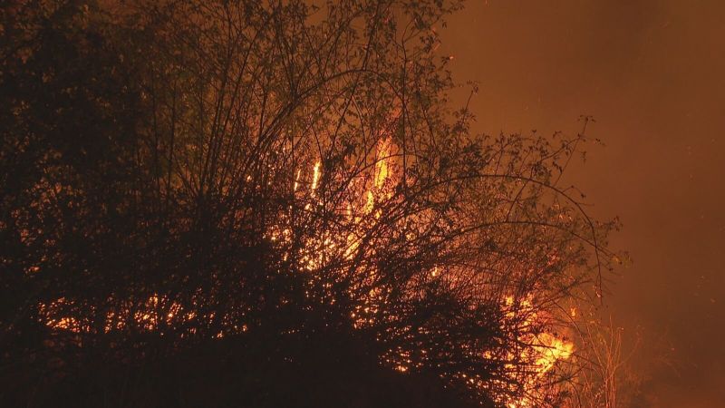 Пожар в Бургаска област