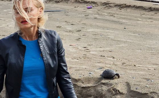Министърът на туризма Зарица Динкова отрече, че хвърлила сухоземна костенурка в морето