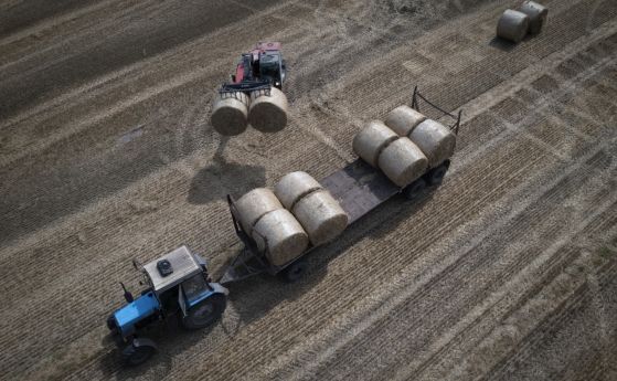 Украйна ще съди Полша, Унгария и Словакия заради забраната за внос на зърно