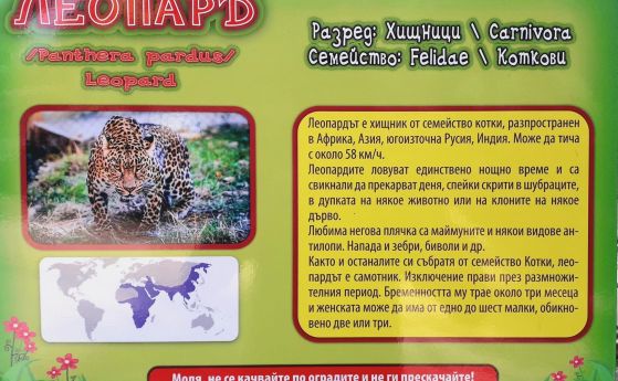 Леопард ухапа момиче в зоопарка във Варна, искало да си направи снимка как гали животните