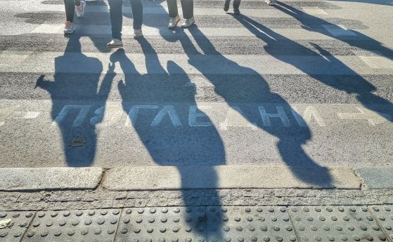 Шофьор без документи блъсна жена на пешеходна пътека в София и избяга