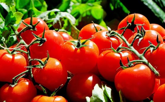 Прогноза: Цените на плодовете и зеленчуците ще растат