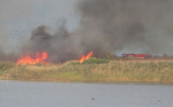 Голям пожар горя край Атанасовското езеро в Бургас