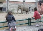 Фалшива фейсбук страница на зоопарка в София разпространява невярна томбола