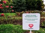 Засадиха 17 рози в знак на почит към донорите на органи