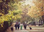 Жени се разхождат в приятното есенно време в парка.