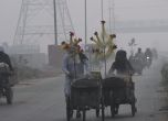 Хиляди се разболяха, училища, пазари и паркове бяха затворени заради смог в Пакистан