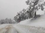 Обилен сняг затвори Троянския проход за камиони