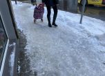 След големия сняг - софиянци трудно се придвижват по леда сред паднали клони (фоторепортаж)