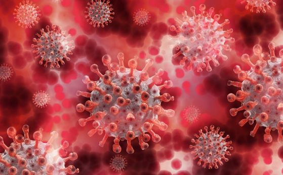 281 са новите случаи на коронавирус