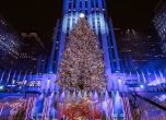 Коледната елха на Рокфелер център в Ню Йорк грейна с 50 000 светлини