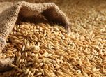 България и още 4 държави от ЕС настояват за мита при вноса на зърно от Украйна