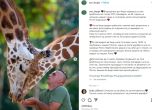 Гледачът на жирафите и последният жираф в Скопие починаха в един ден
