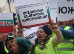 Нова блокада: Земеделци затварят пътя Русе – Велико Търново