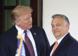 ''Шефът е неполемична личност''. Тръмп и Орбан се омайват във Флорида
