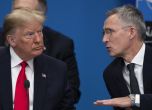НАТО ще е предан съюзник на САЩ - независимо дали Тръмп ще спечели, или не