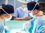 Почина първият в света пациент с трансплантиран свински бъбрек