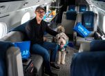 Ексклузивна авиолиния за кучета - BARK Air, осъществи първия си полет (снимки)