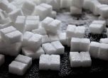 Храните по борсите задържат цените, траен спад при захарта