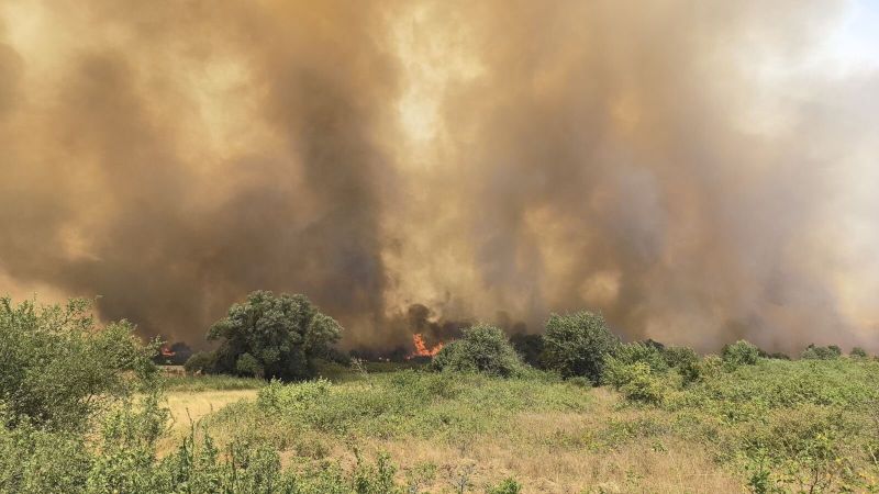 Пожарът в Странджа 