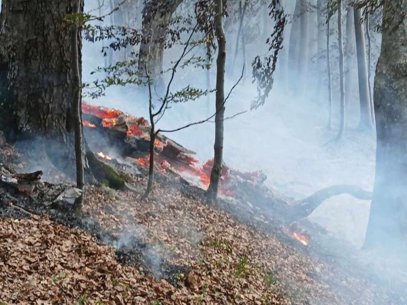 Пожар в Троянския Балкан