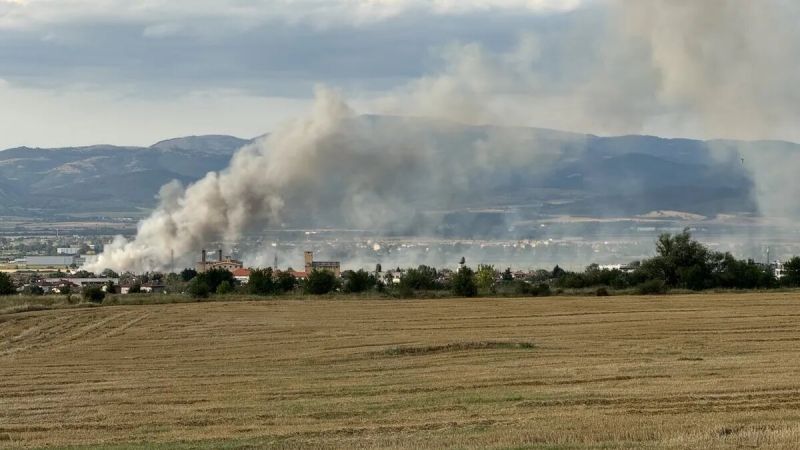 Пожарът в Елин Пелин