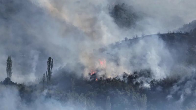 Двама пожраникари са леко пострадали при гасенето на огъня до Царацово