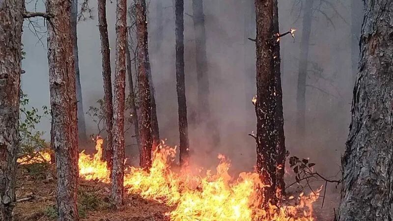 Продължава гасенето на пожара на българо-гръцката гранаца