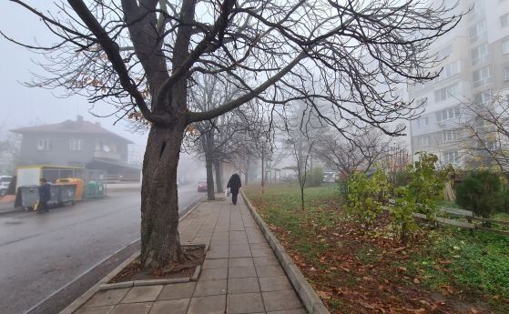 Данните за мръсния въздух в страната ни се укриват от МОСВ