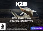  На Никулден WWF те кани: Абонирай се за природата!