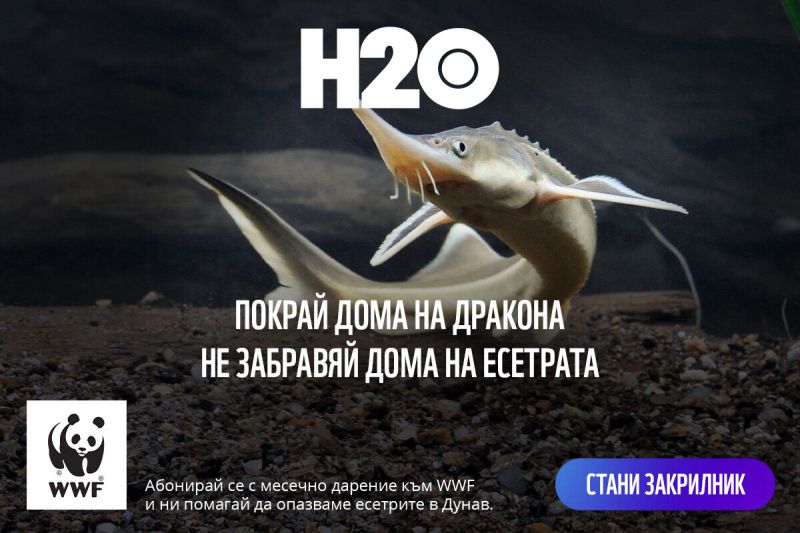  На Никулден WWF те кани: Абонирай се за природата!