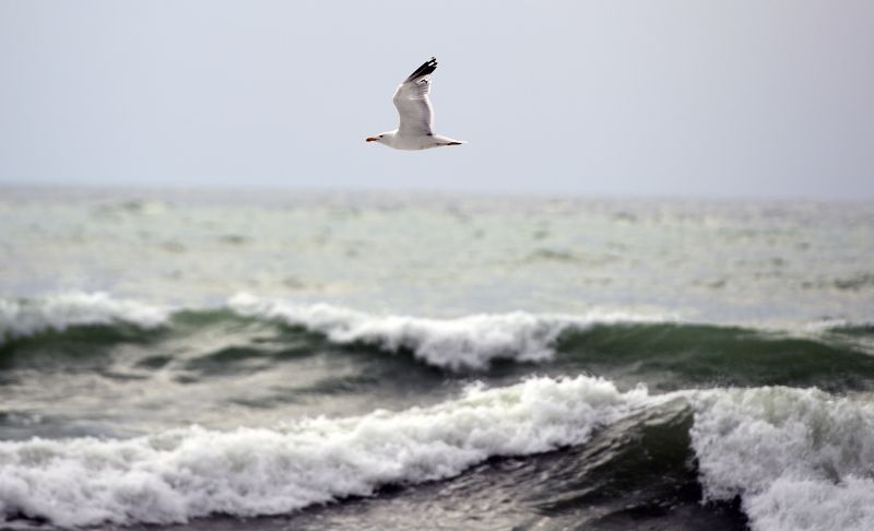 Топло време край морето