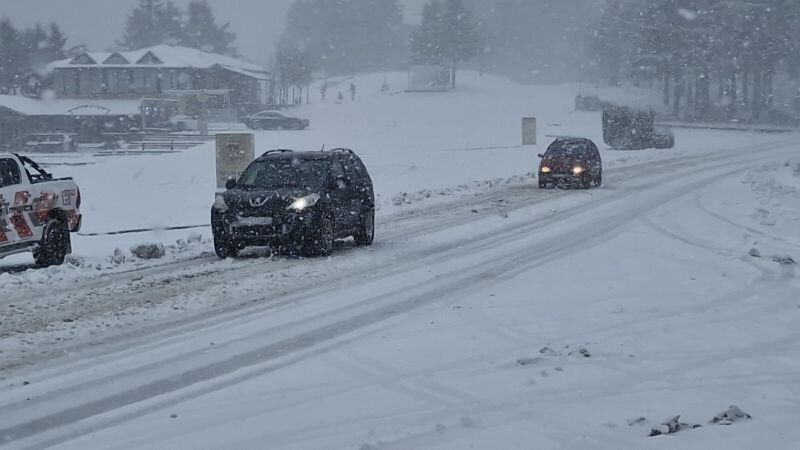 Коли се движат през снега