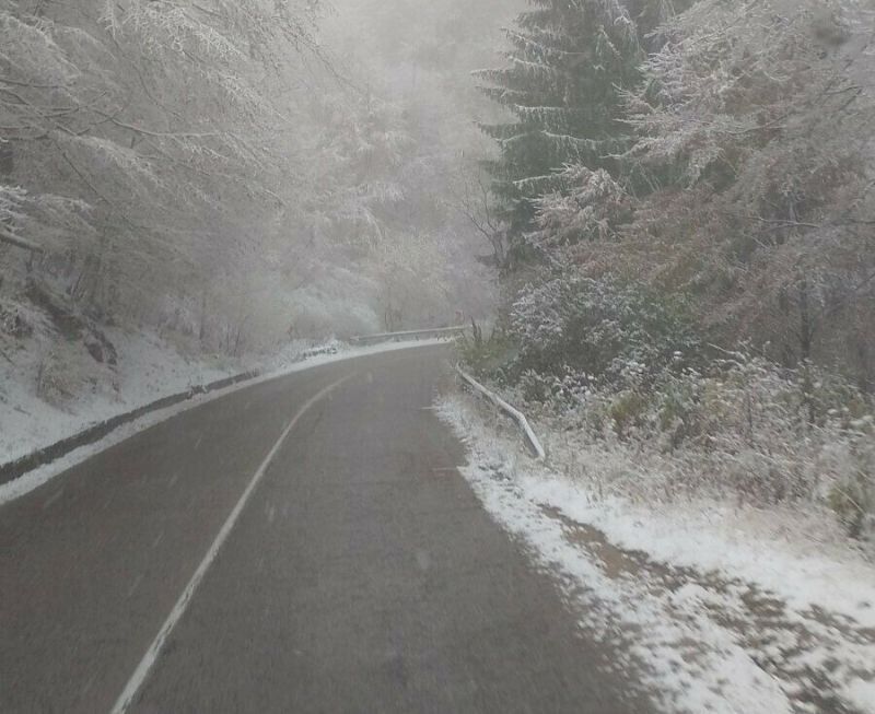 Път в зимни условия