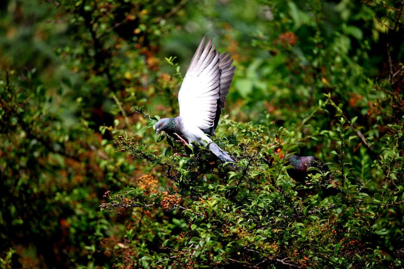 Топло остава времето и днес