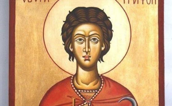 Църквата почита днес паметта на свети мъченик Трифон
