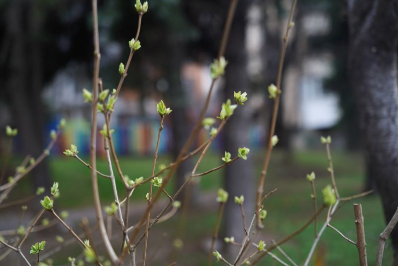 По.меко време днес, сняг прехвърча