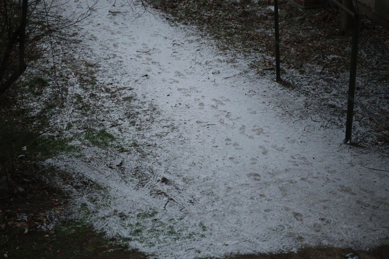 Сняг в София