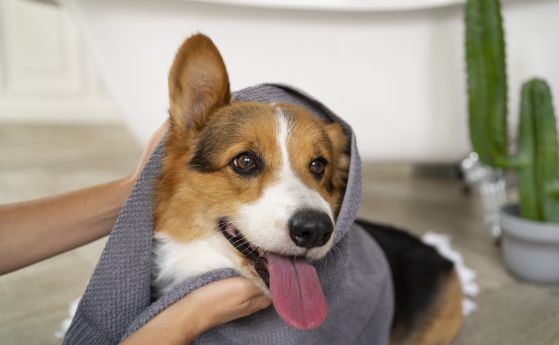 Илюстративна снимка