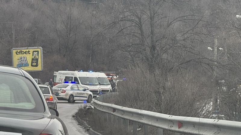 Две коли се удариха челно край Владая