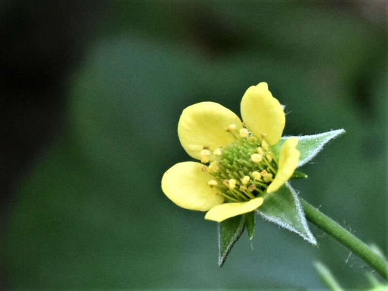 Времето днес ще е облачно, но по-топло