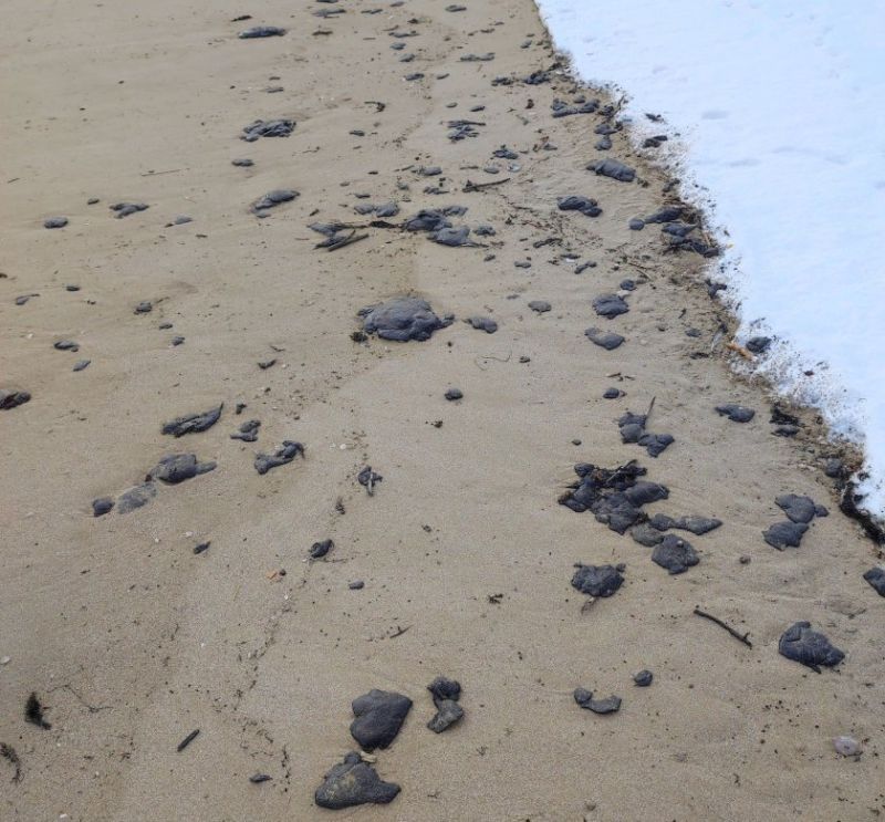 Големи парчета мазут на плажа в Созопол