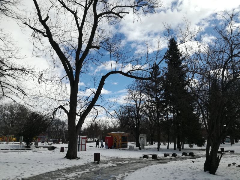 Зимна Борисова градина 