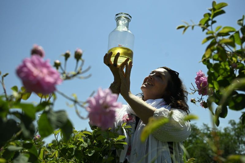 Проф. Бетани Хюз