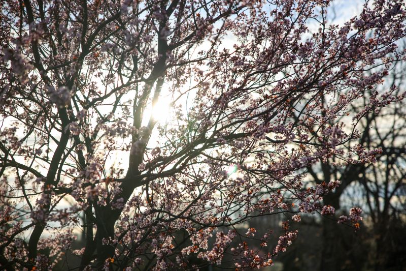 Слънчев мартенски уикенд